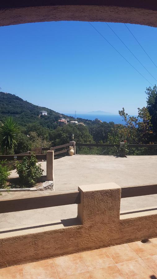 Bas De Villa Chez Mr.Girolami Dominique Bastia  Exterior photo